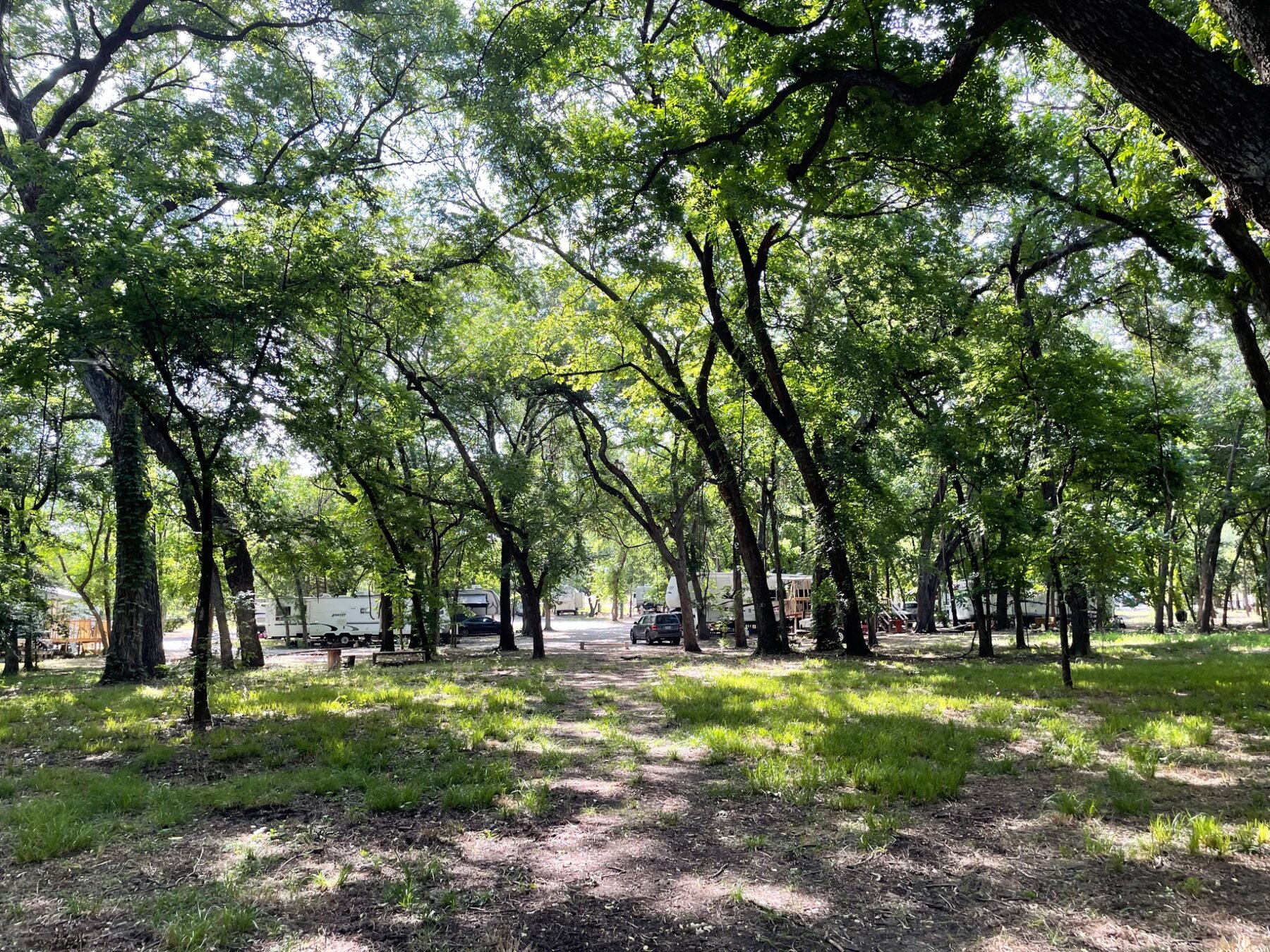 Shaded RV sites beneath mature trees at Campfire RV Park